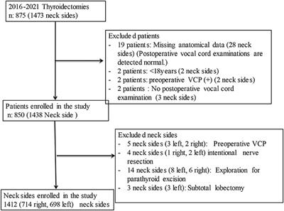 Clinical and Anatomical Factors Affecting Recurrent Laryngeal Nerve Paralysis During Thyroidectomy via Intraoperative Nerve Monitorization